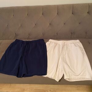 2 DSG Men's Navy and Cream Shorts